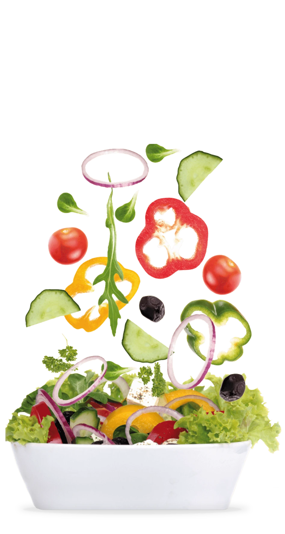 salat-new-3.png